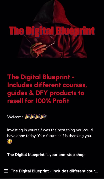 The Digital Blueprint For Men (Includes Digital Boss Academy 1 & 2)